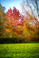 Beautiful romantic park with colorful trees and sunlight, autumn natural background, South Holland