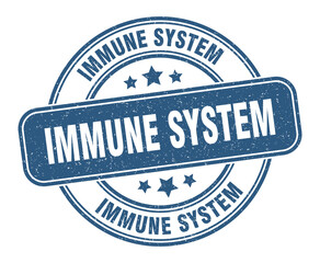 immune system stamp. immune system label. round grunge sign