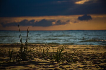 Baltic beach at sunset.

