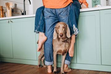 A beautiful ginger dog stands between the legs of its owners who are kissing. Lifestyle concept