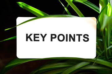 KEY POINTS text on white surrounded by green leaves