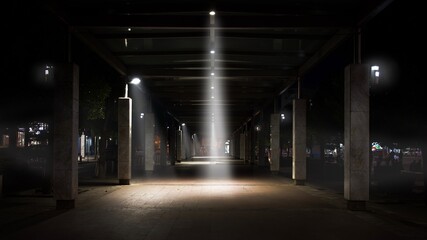 Night streets in Podgorica. The capital of Montenegro.