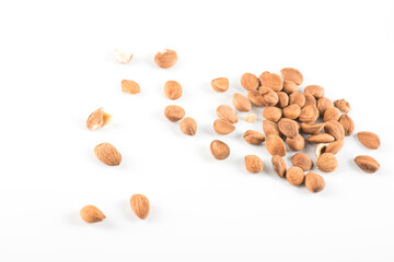 
apricot kernel isolated on white background 
