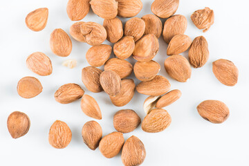 
apricot kernel isolated on white background 