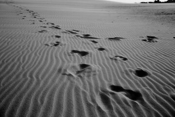 Obraz premium pegadas