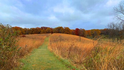 autumn landscape with sky