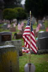 American flags flying on graves during Veterans Day 2020 in Upstate NY while light rain is falling.
