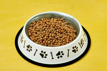 Dog food in bowl 