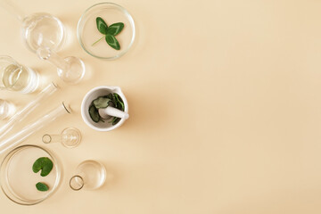 Laboratory glassware and herb on beige background. Natural medicine, cosmetic research, bio science, organic skin care products. Flat lay, top view, copy space.