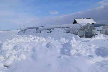 ビニールハウス 雪景色