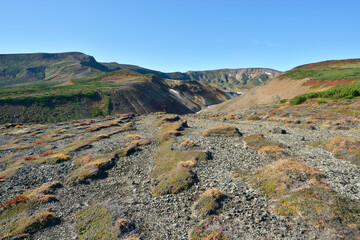 雲ノ平の構造土（北海道・大雪山）

