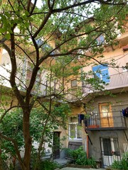 Fototapeta na wymiar backyard between old tenement houses with a tree and balconies with laundry