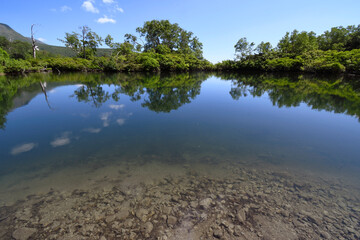 夏の大雪高原沼（北海道・大雪山）

