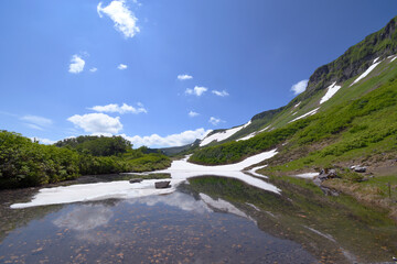 夏の大雪高原沼（北海道・大雪山）
