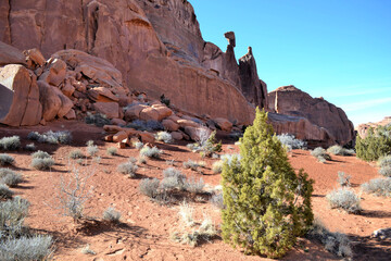 Arches National Park landscape with The Queen Nefertiti Rock in the background, Moab, Utah