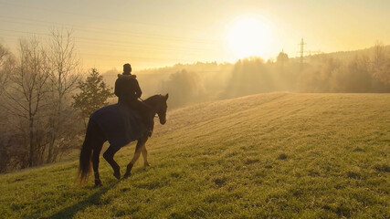 COPY SPACE: Female horseback rider is exploring the frosty countryside with mare