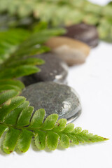 Green meditation