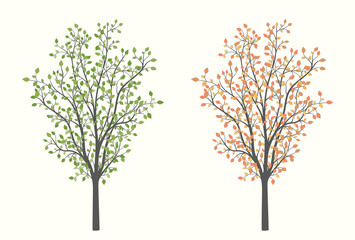 Tree with green red and yellow leaves in two versions