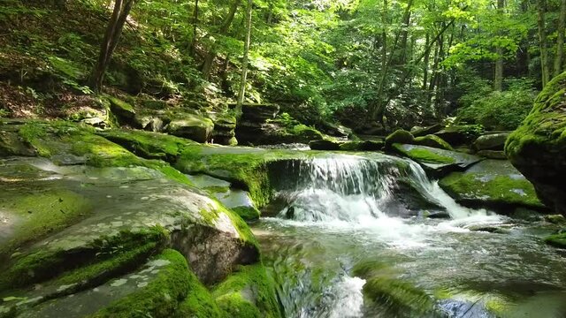 Beautiful rocky sundown forest river cascades summer day nobody