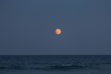red moon - blue - sunset
