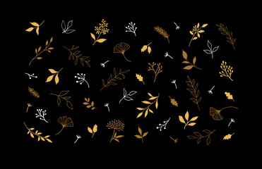 Set of vector plants and herbs. Hand drawn floral elements.