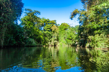Fototapeta na wymiar Mangrove forrest of Tortuego national park at Costa Rica