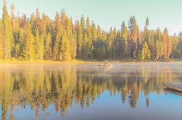 Fototapeta premium Pine trees and their reflection on the lake.