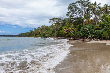 The beautiful flora and fauna of Cahuita national park, Costa Rica