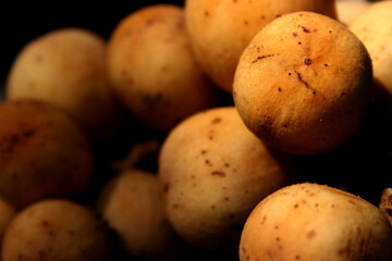 Longkong is the name of Thai fruit. It is round, yellow, sweet and delicious