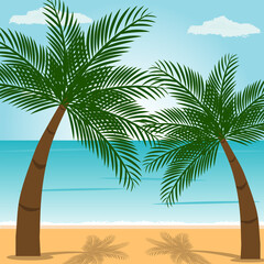 panoramic view of beach with palm trees with blue sky