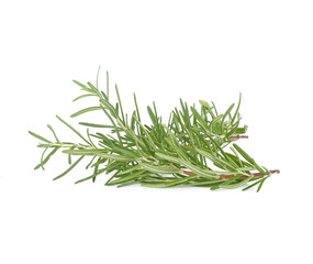 Rosemary isolated on white background.