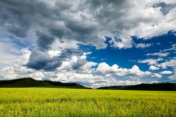 The summer prairie and cloudscape of Hulunbuir of China.