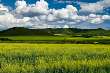 Obraz premium The summer prairie and cloudscape of Hulunbuir of China.