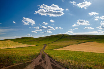 The road on the summer grassland of Hulunbuir of China.