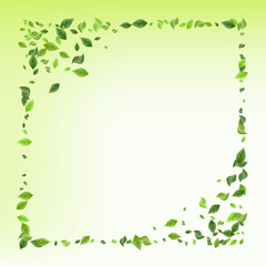 Grassy Leaves Organic Vector Green Background 