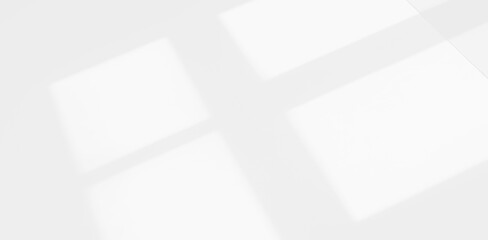 Abstract Shadow. blur background. gray leaves that reflect concrete walls on a white wall surface for blurred backgrounds and monochrome wallpapers.