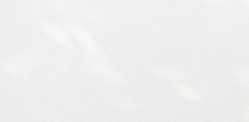 Abstract Shadow. blur background. gray leaves that reflect concrete walls on a white wall surface for blurred backgrounds and monochrome wallpapers.