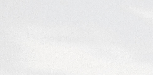 Abstract Shadow. blur background. gray leaves that reflect concrete walls on a white wall surface for blurred backgrounds and monochrome wallpapers.