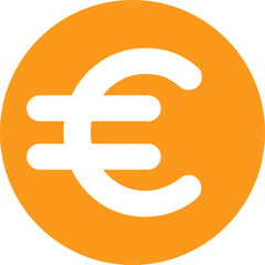 International flat icon of euro currency