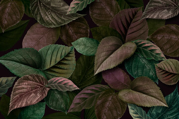 Metallic green and purple leaves textured background