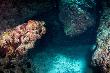 An underwater cave on the reef