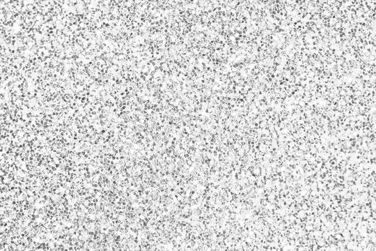 737,124 Silver Glitter Background Images, Stock Photos, 3D objects, &  Vectors