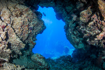 An underwater cave on the reef