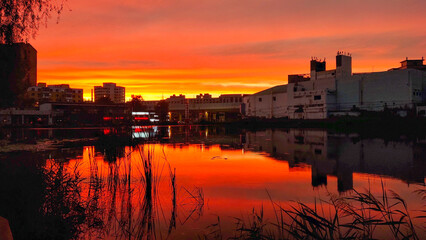 Fototapeta na wymiar A pond in the city at sunset with business buildings on the side