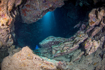 An underwater cave on the reef