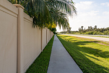 Long sidewalk by a wall, overhung by palm fronds
