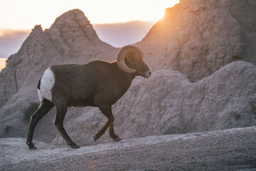 Badlands SD 