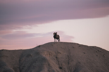 Badlands SD 