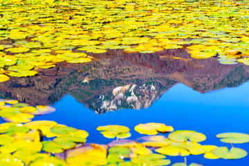 【紅葉イメージ】いもり池から眺める妙高山