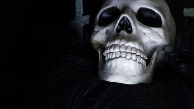 Human skull on creepy background medium zoom in shot